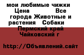 мои любимые чижки › Цена ­ 15 000 - Все города Животные и растения » Собаки   . Пермский край,Чайковский г.